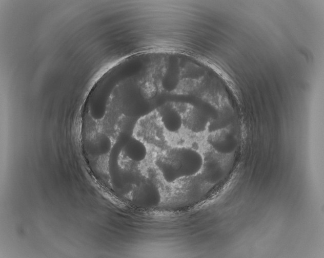 X0000111050933200908061514