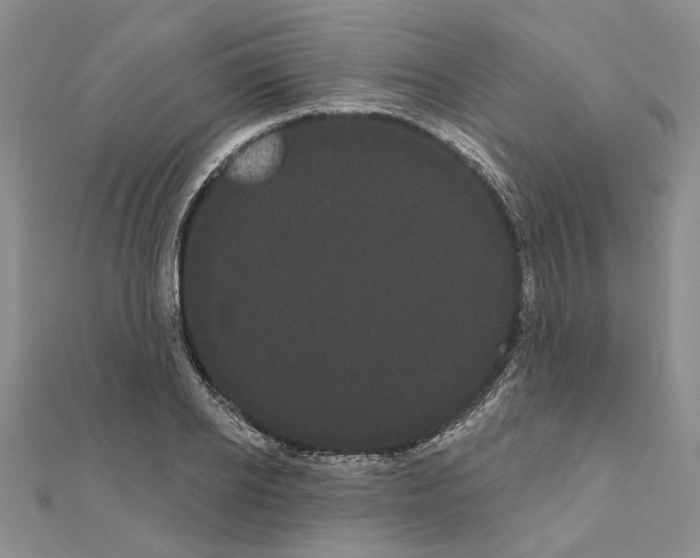 X0000111050934200908061514