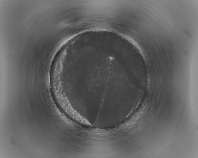 X0000111050935200908061514