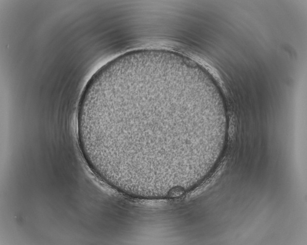 X0000111050936200908061514