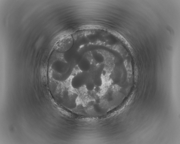 X0000111050937200908061514