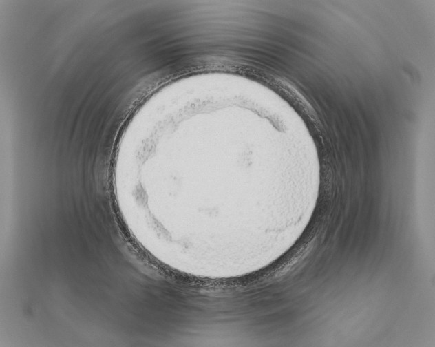 X0000111050938200908061514