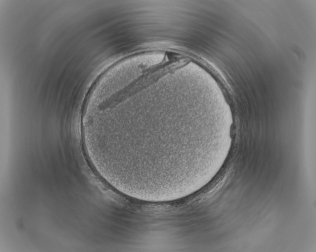 X0000111050939200908061514