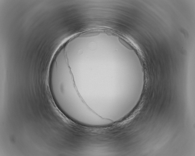 X0000111050940200908061514