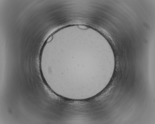 X0000111050942200908061514