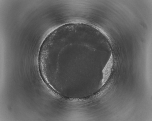 X0000111050943200908061514