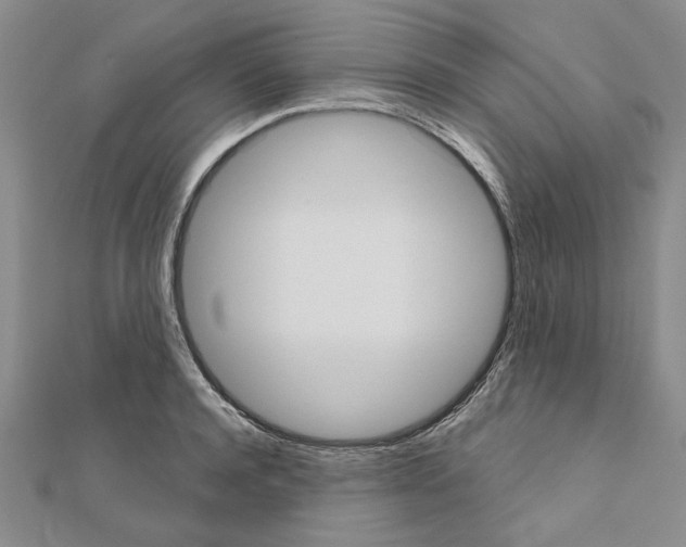 X0000111050944200908061514