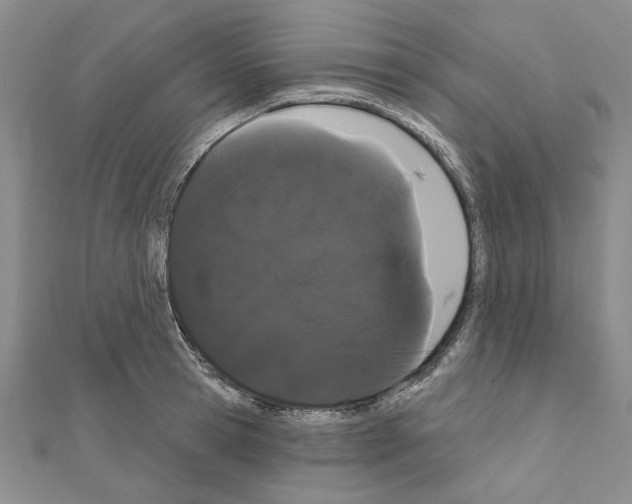 X0000111050945200908061514