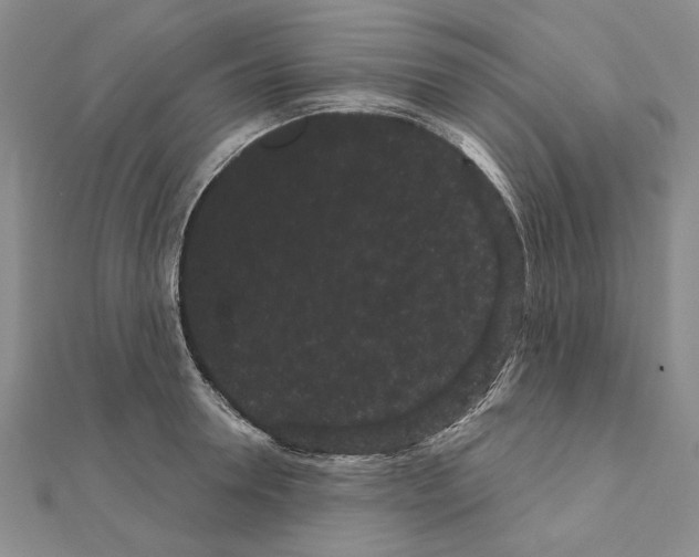 X0000111050946200908061515