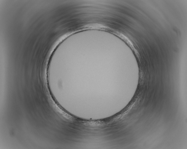 X0000111050947200908061515