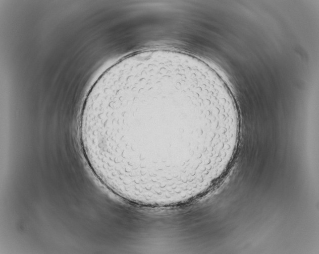 X0000111050949200908061515