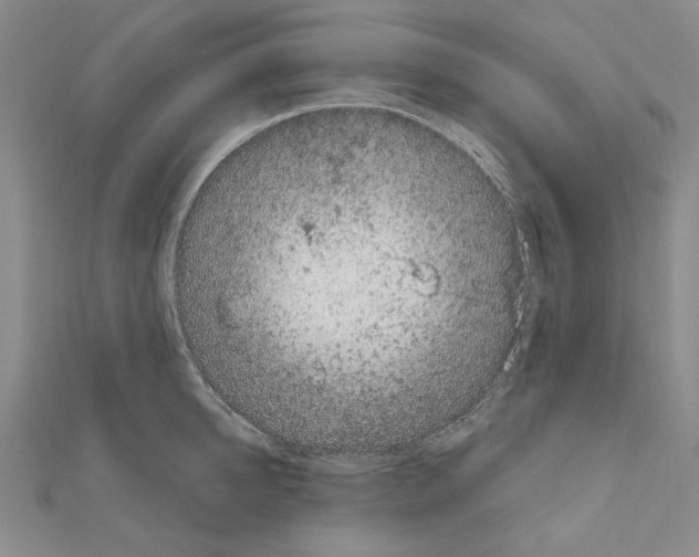 X0000111050950200908061515