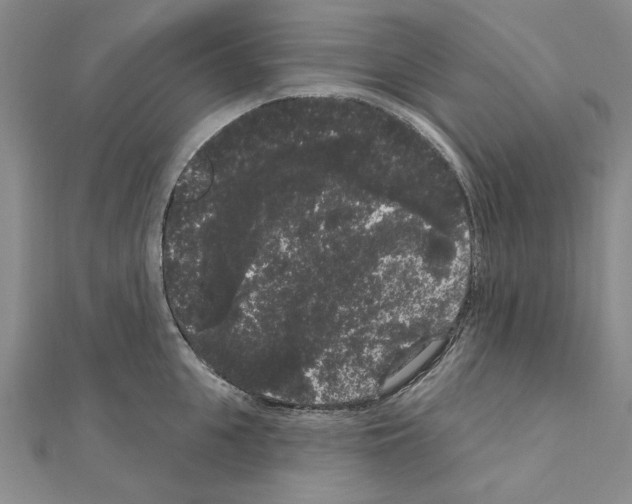 X0000111050951200908061515