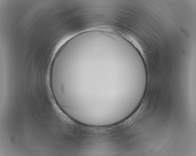 X0000111050952200908061515