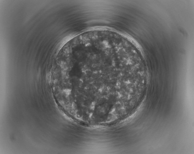 X0000111050953200908061515