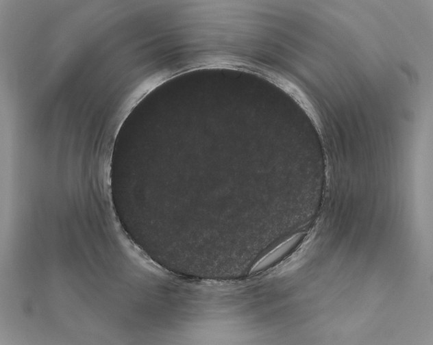 X0000111050954200908061515