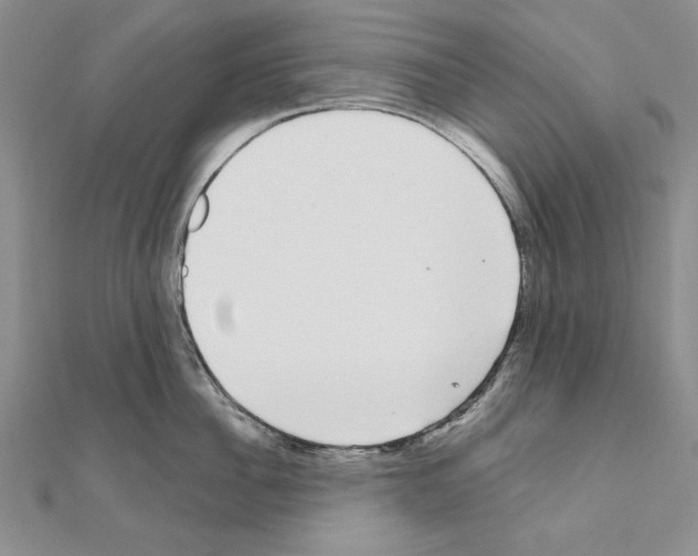 X0000111050956200908061515