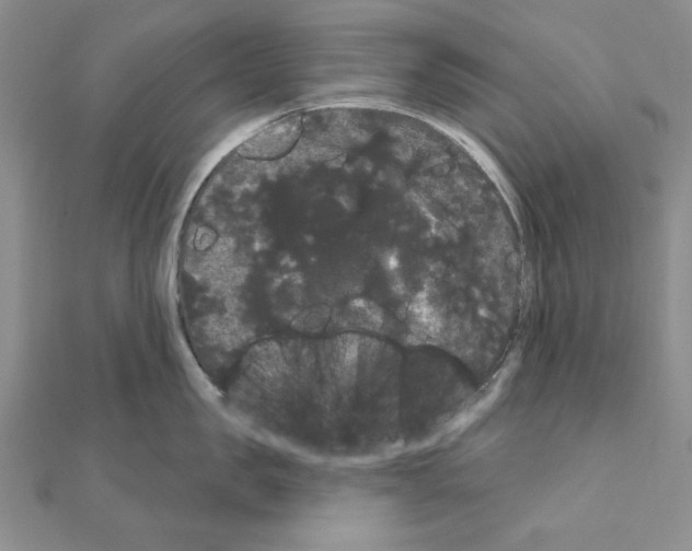 X0000111050957200908061515