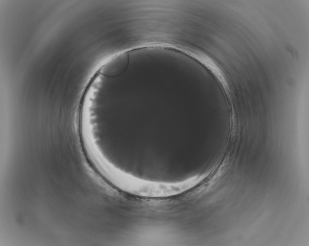 X0000111050958200908061515