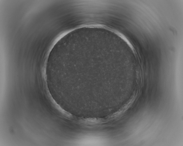 X0000111050959200908061515