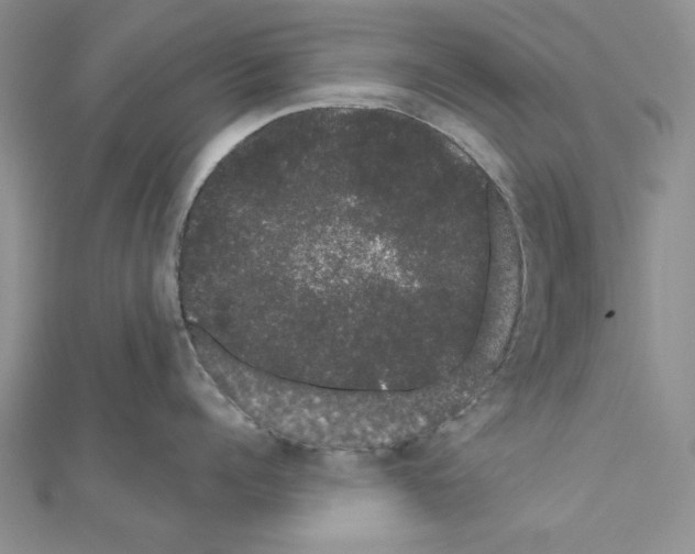 X0000111050960200908061515