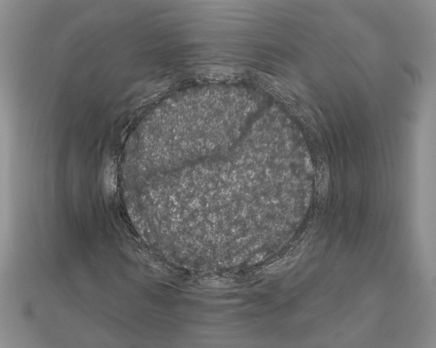 X0000111050962200908061514