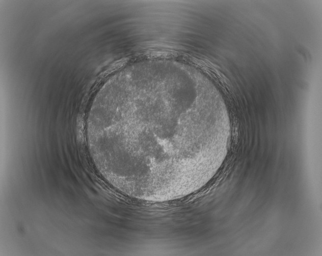 X0000111050964200908061514