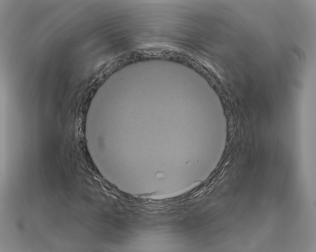 X0000111050965200908061514