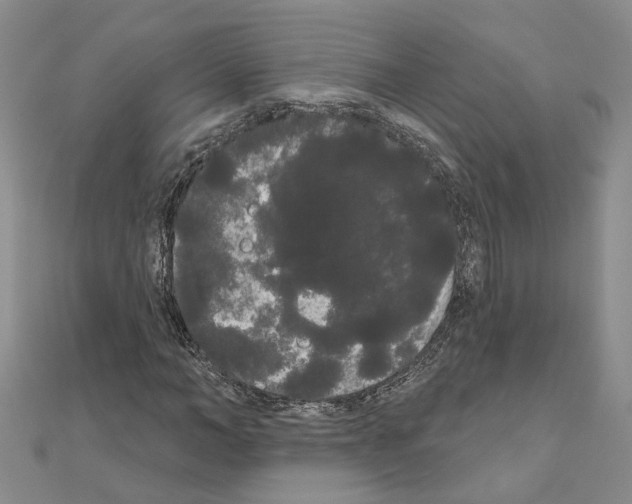 X0000111050966200908061514