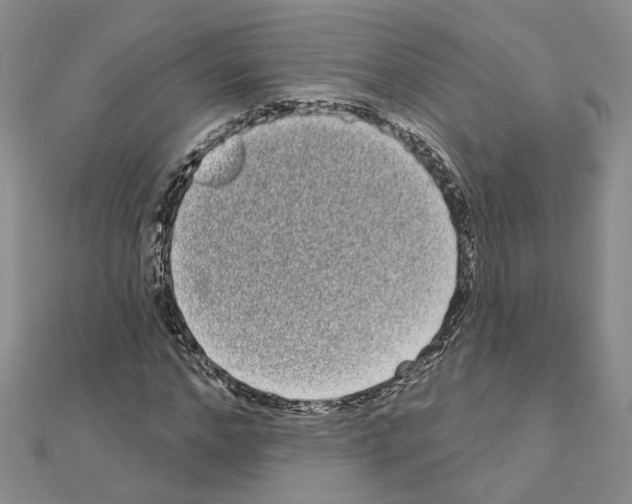 X0000111050968200908061514