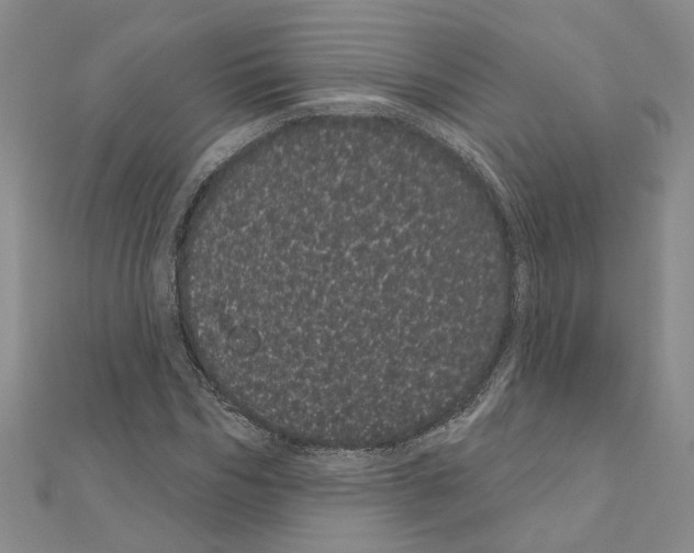 X0000111050970200908061514