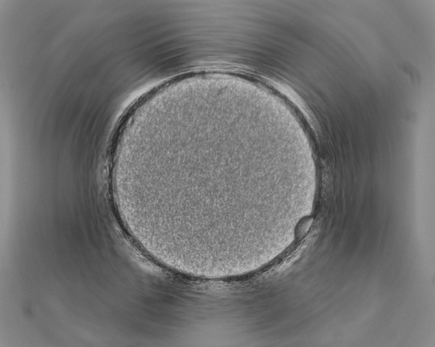 X0000111050971200908061514