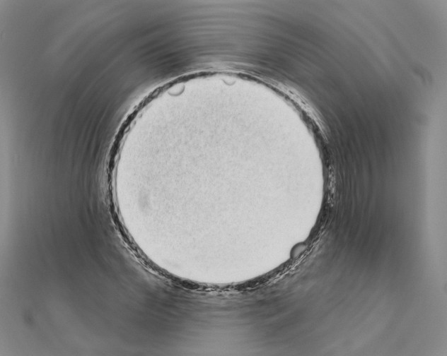 X0000111050972200908061514