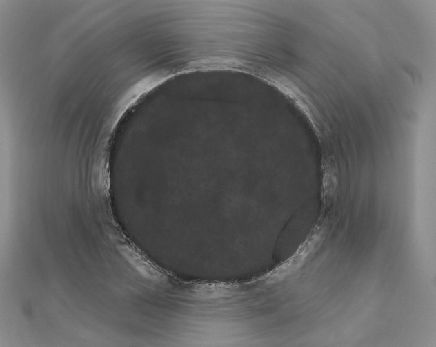 X0000111050973200908061514