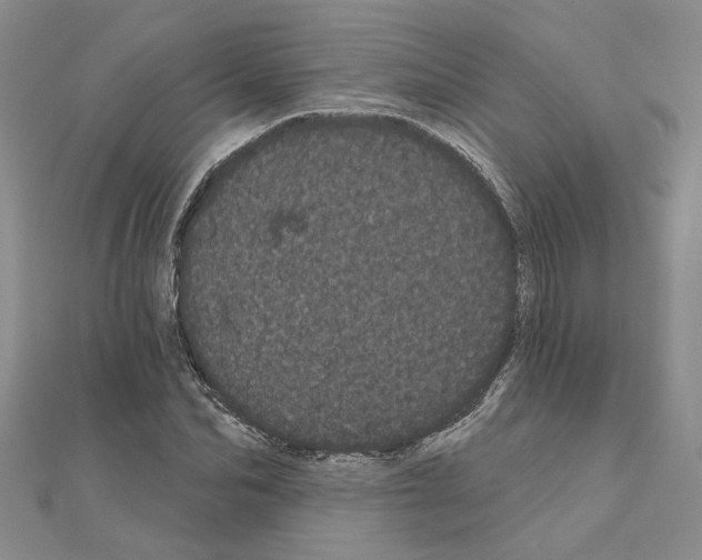 X0000111050974200908061514