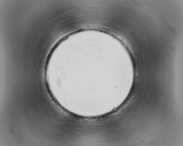 X0000111050976200908061514