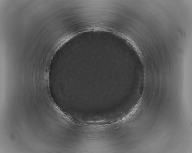 X0000111050977200908061514