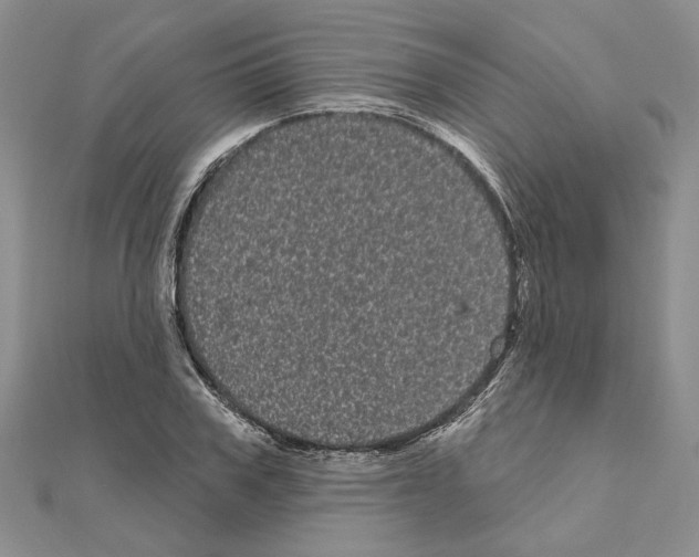 X0000111050979200908061514