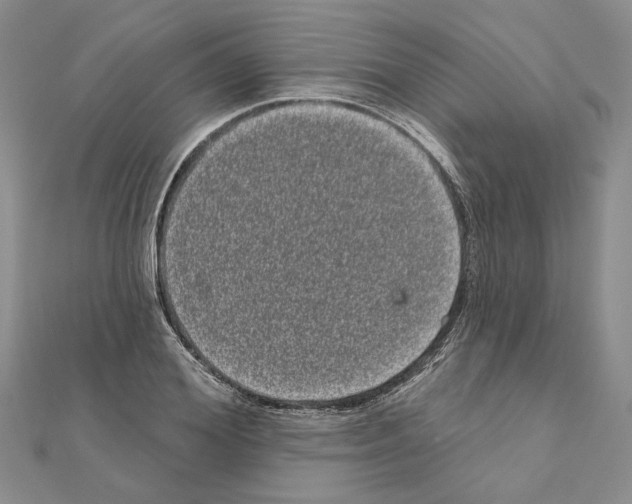 X0000111050980200908061514