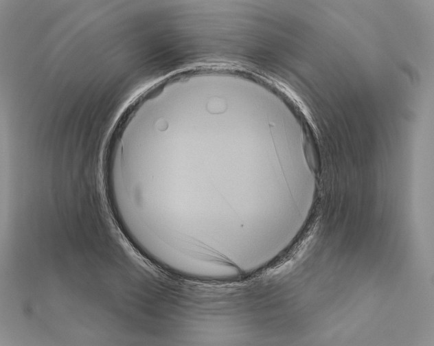 X0000111050981200908061514