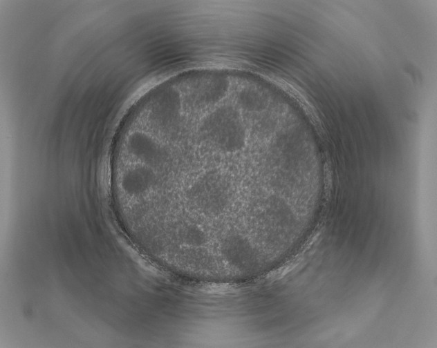 X0000111050982200908061514