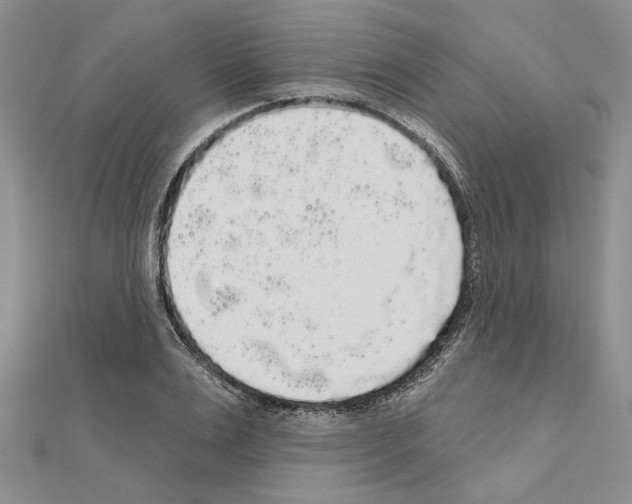 X0000111050983200908061514