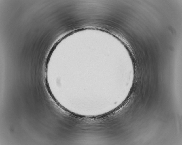 X0000111050984200908061514