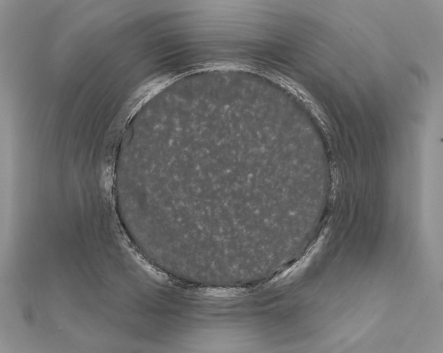 X0000111050985200908061514