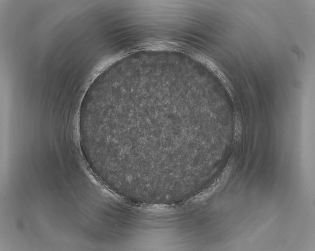 X0000111050986200908061514