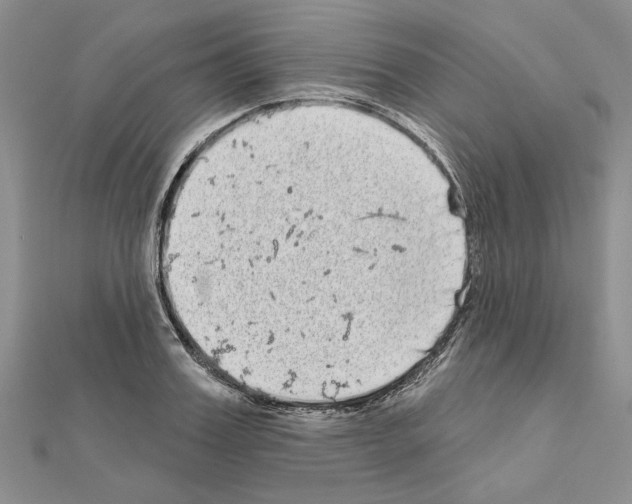 X0000111050987200908061514