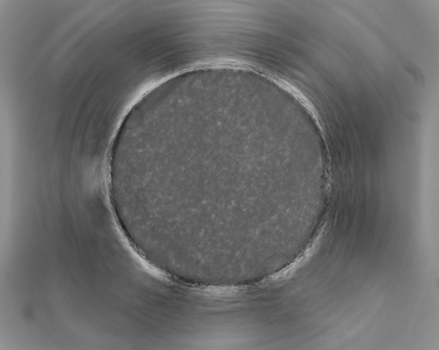 X0000111050989200908061514