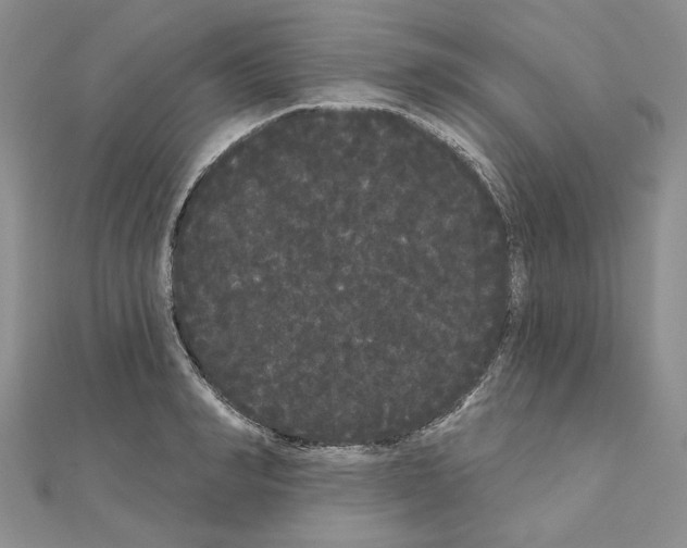 X0000111050990200908061514