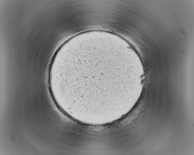 X0000111050991200908061514