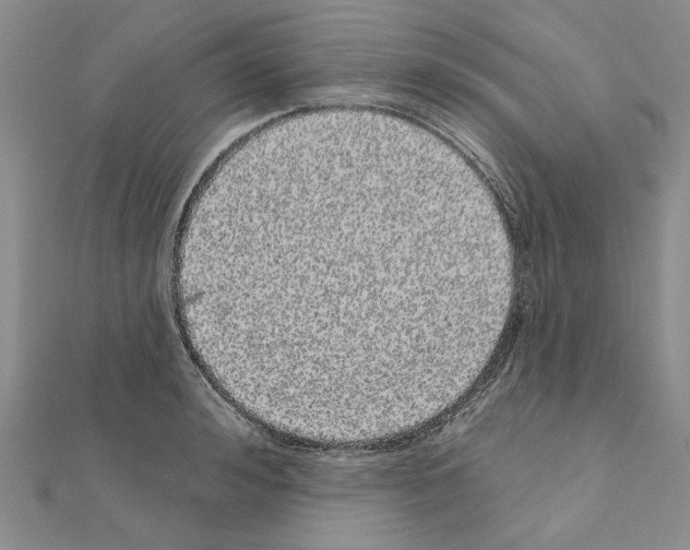 X0000111050992200908061514